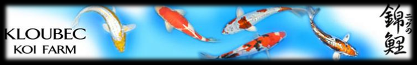 3_Art_Fuzzy_Banner.png