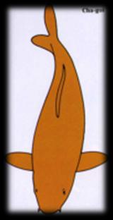 Chagoi.jpg