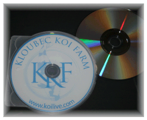 DVD.gif