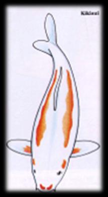 Hikari_Moyo_1.jpg