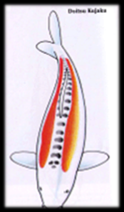Hikari_Moyo_3.png