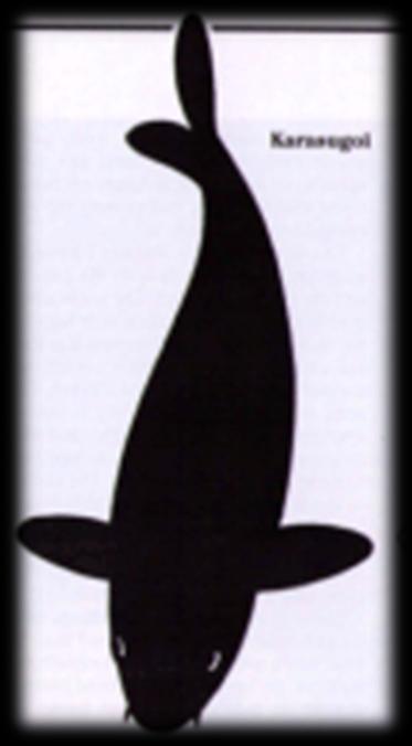 Kawarigoi.jpg