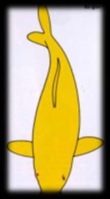 Kigoi.jpg