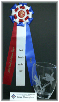 Trophy_3.gif