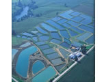 about_out_kio_farm.jpg
