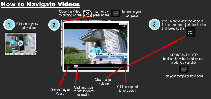 video-navigation-guide-new.gif