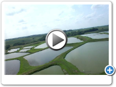 Kloubec Koi Farms - Come fly with me (2)