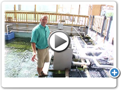 Kloubec Koi Farm - Quarantine Facility (5)