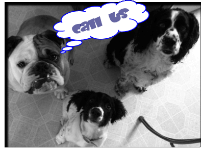 dogs_call_us.gif