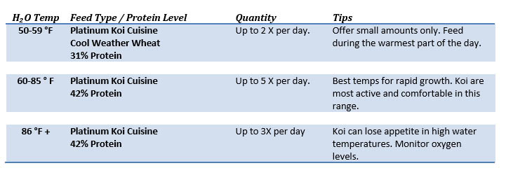 Koi Food Feeding Temps